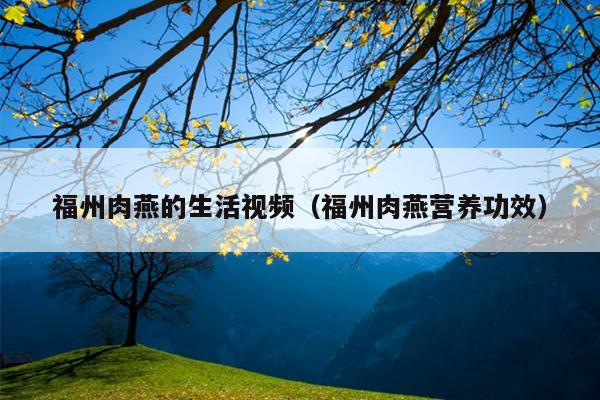 福州肉燕的生活視頻（福州肉燕營(yíng)養(yǎng)功效）