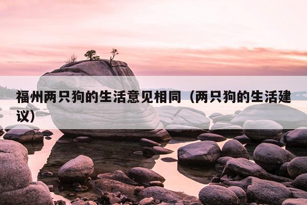 福州兩只狗的生活意見相同（兩只狗的生活建議）